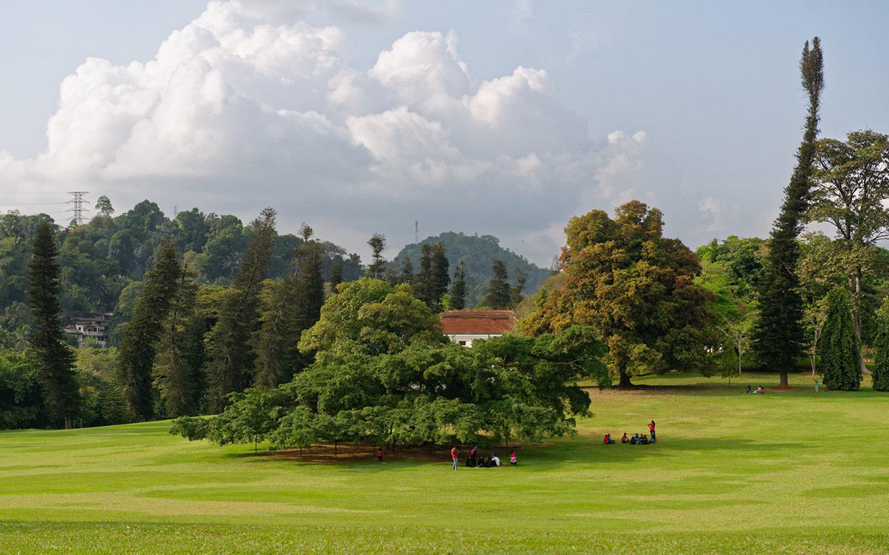 Group 1 Image 17