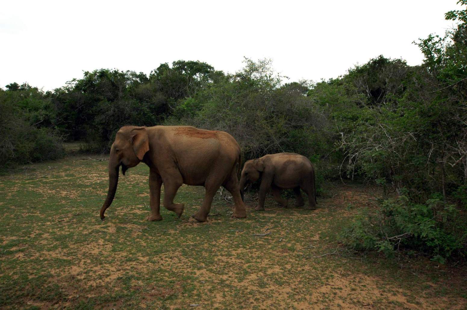 Group 1 Image 25