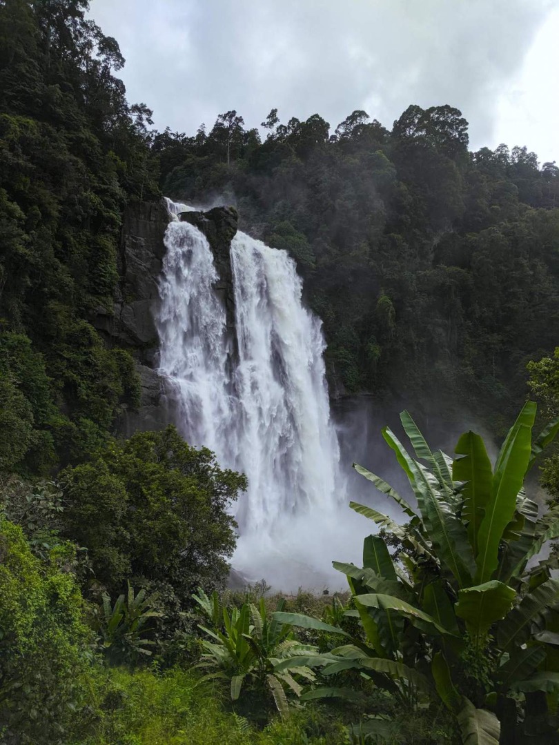 Group 1 Image 48